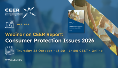 CEER Webinar: Report on Consumer Protection Issues 2026